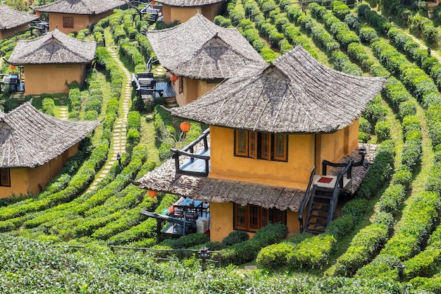 Punto di vista resort terra casa nella piantagione di tè a lee wine ban rak thai