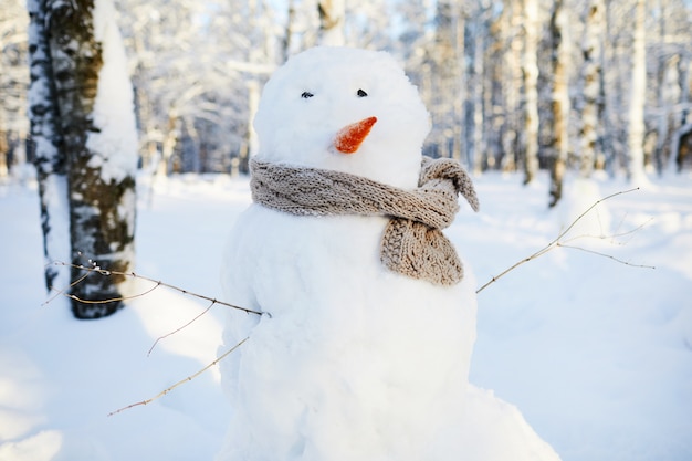 Pupazzo di neve a Winter Park