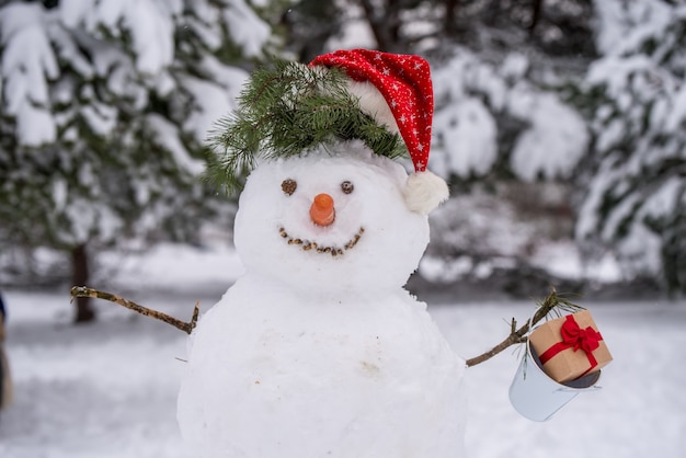 Pupazzo di neve divertente in una foresta. Pupazzo di neve con cappello di Babbo Natale