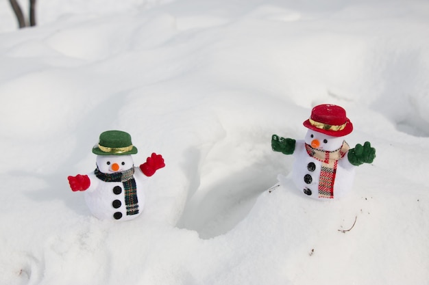 Pupazzo di neve e amico stanno tra il mucchio di neve nel parco. Il sole mattutino si sta riscaldando in inverno. Benvenuto nel periodo natalizio.