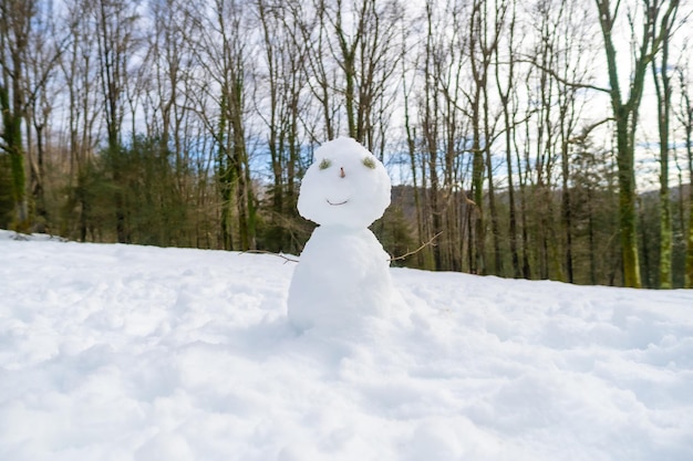 Pupazzo di neve in inverno nel parco naturale Artikutza Gipuzkoa