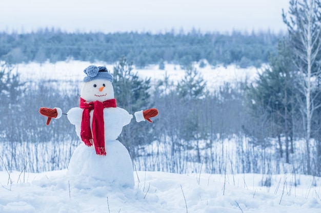 Pupazzo di neve in sciarpa rossa nella foresta