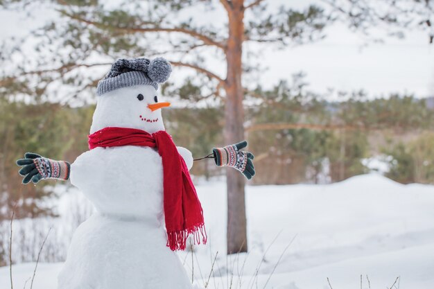 Pupazzo di neve in sciarpa rossa nella foresta