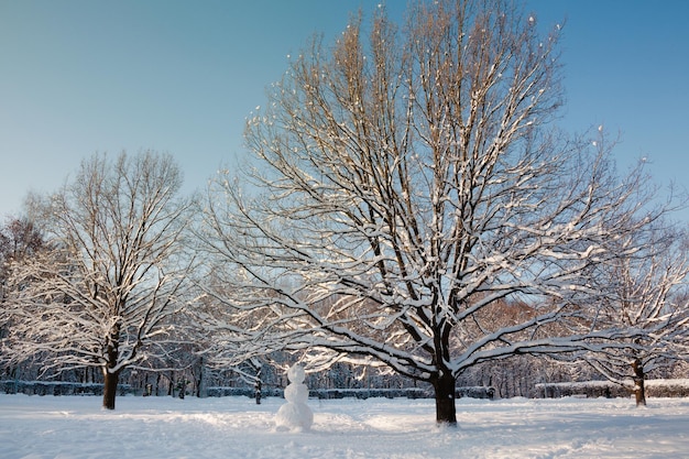 Pupazzo di neve in una radura nel gelido parco invernale innevato tra grandi querce