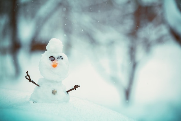 Pupazzo di neve nel parco in inverno nevoso