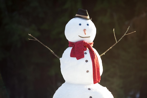 Pupazzo di neve tradizionale che indossa sciarpa rossa e cappello nero con naso di carota giornata invernale di sole nella foresta