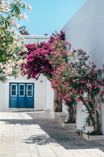 Pyrgos Tinos Cicladi Grecia