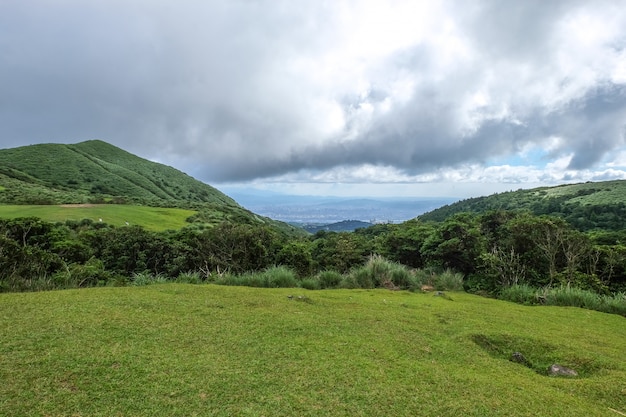 Qingtiangang Grassland