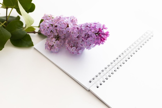 Quaderno a spirale e penna Blocco note con penna e fiori Quaderno lilla su sfondo chiaro