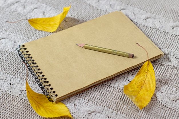 Quaderno Kraft con uno sfondo in tessuto lavorato a maglia beige accogliente e foglie cadute un vecchio spazio di copia matita consumato