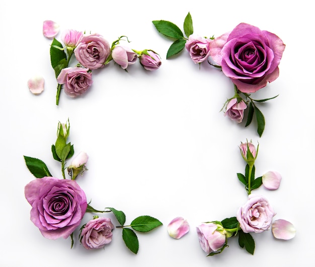 Quadro da rose su sfondo bianco. Distesi.
