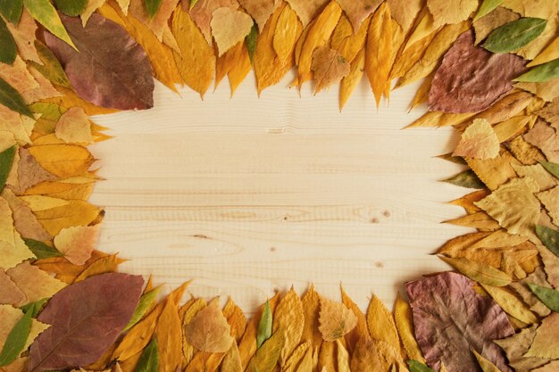 Quadro di foglie autunnali secche colorate sullo sfondo di legno vista dall'alto