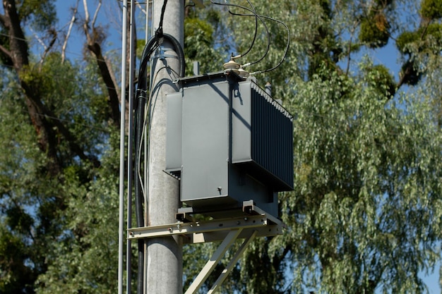 Quadro elettrico su un palo nella foresta