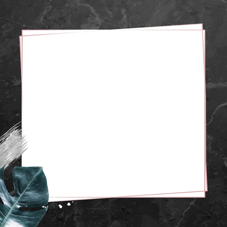 Foto quadro in marmo nero png con foglia verde
