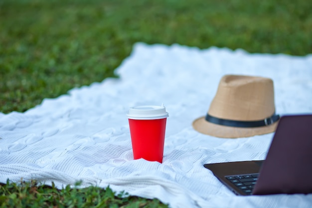 Qualcuno che usa il laptop nel parco. Lavorando su laptop all'aperto