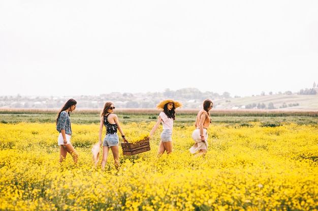 quattro bella ragazza hippie in un campo di fiori gialli