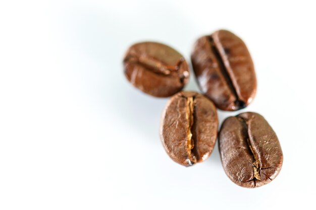 Quattro chicchi di caffè su sfondo bianco