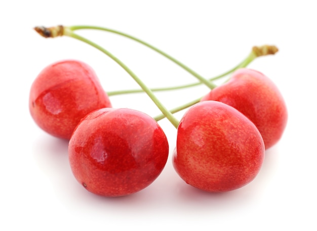 Quattro ciliegie dolci con gambo su bianco.