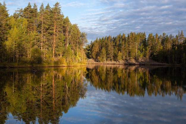 Quet mattina su un lago della foresta