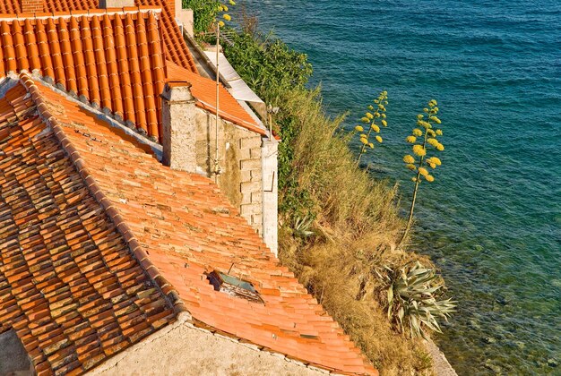 Rab croazia una vista sul tetto di una tradizionale casa in pietra con piante tipiche del Mediterraneo