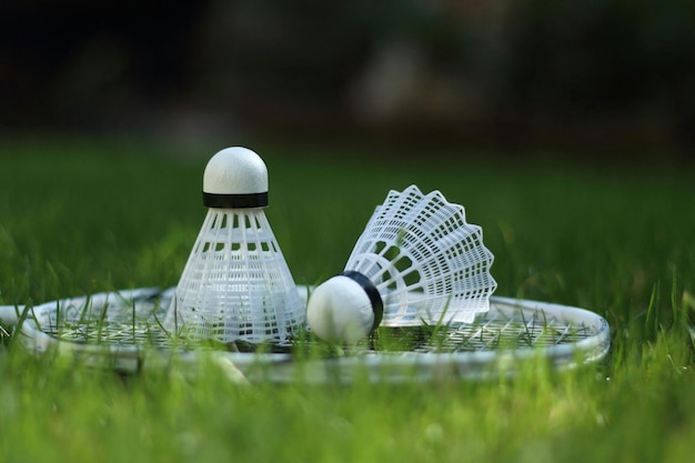 Racchetta da badminton e shuttlecocks su un campo erboso