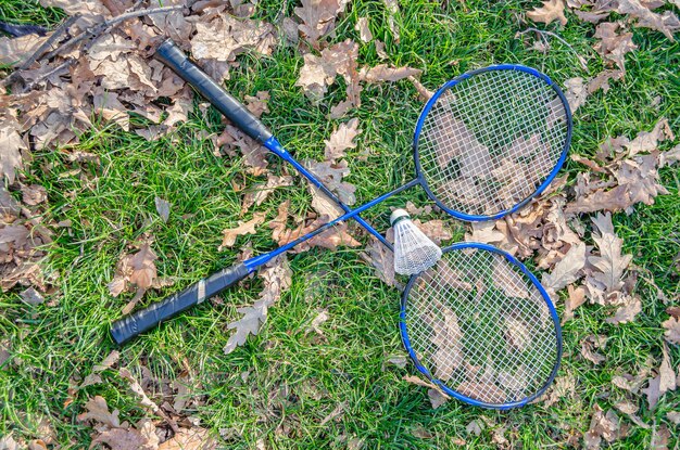 Racchetta e manico da badminton