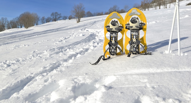 Racchette da neve e bastoni sulla neve