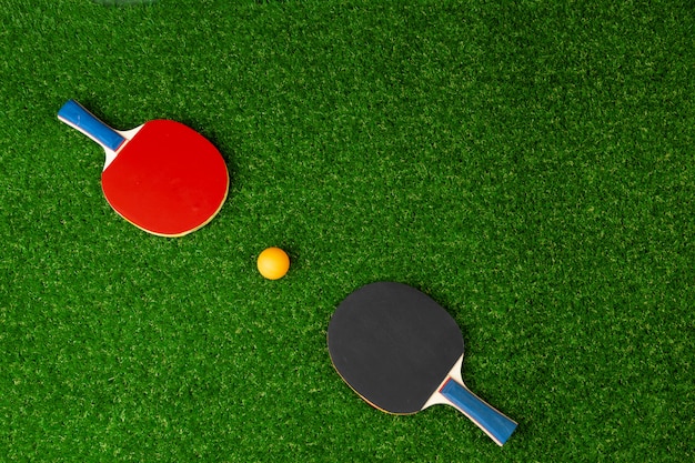 Racchette da ping pong e palla sull'erba