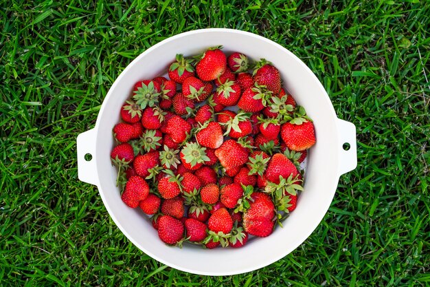 Raccogli fragole deliziose mature in una tazza su erba verde green