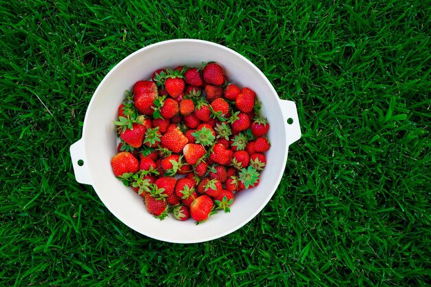 Raccogli fragole deliziose mature in una tazza su erba verde green