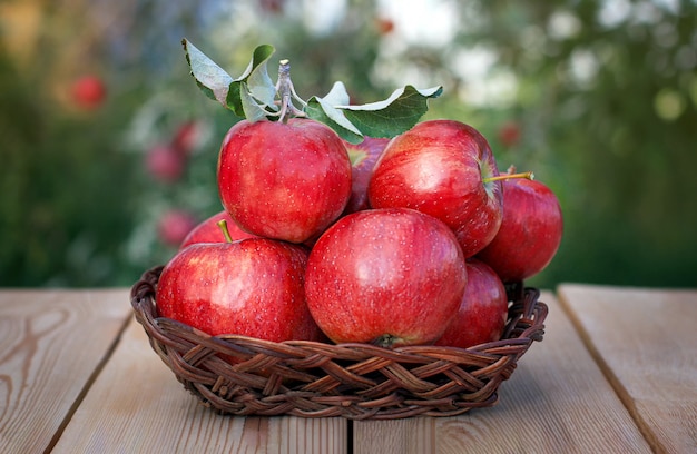 Raccogli le mele. Mele rosse in un vaso di vimini su un vecchio tavolo di legno
