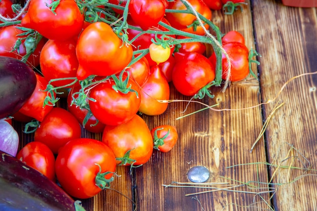 Raccogli le verdure pomodori rossi e melanzane su una tavola di legno in primo piano della natura