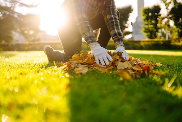 Raccoglie a mano e impila le foglie autunnali cadute Concetto di pulizia volontaria Giardinaggio stagionale