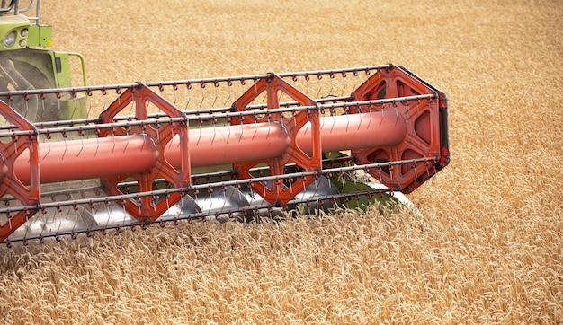 Raccogliendo i frutti Una ripresa aerea di una mietitrebbia che raccoglie il grano nell'ora d'oro