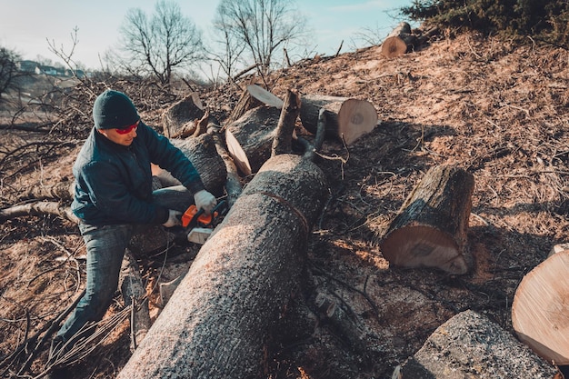 Raccogliendo legna da ardere per l'inverno, un uomo con gli occhiali ha tagliato un albero con una motosega tenendolo tra le mani