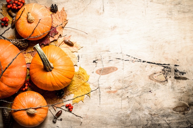 Raccolta autunnale Zucca fresca con foglie e rami su fondo in legno