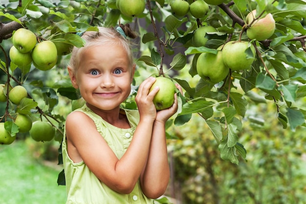 Raccolta delle mele per i bambini. Bambina nel giardino di mele. Fattoria di mele ecologiche