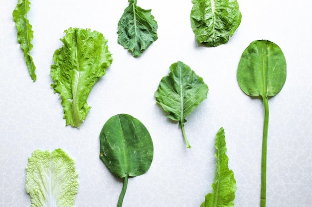 Raccolta di foglie di insalata Foglie di verdure fresche miste isolate su sfondo bianco Disposizione piatta