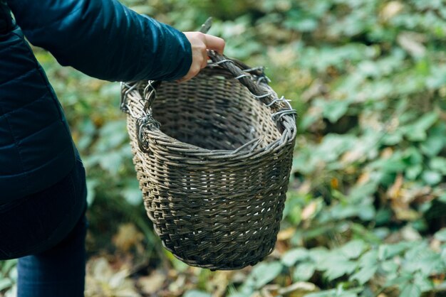 Raccolta di funghi nel grande cesto vuoto della foresta