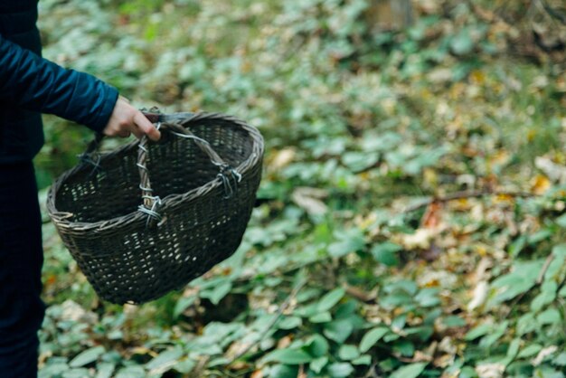 Raccolta di funghi nel grande cesto vuoto della foresta