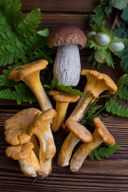 raccolta di funghi su una tavola di legno per libri didattici e manuali cartolina banner con layout di vari funghi