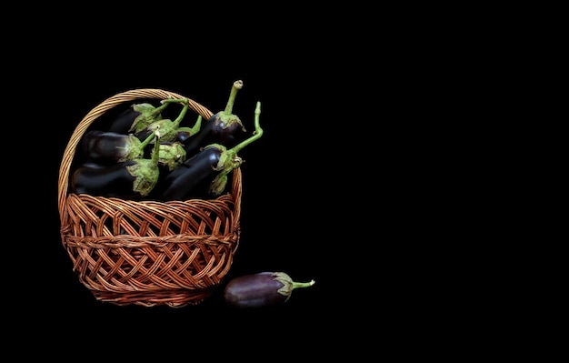 Raccolta di melanzane nel carrello su sfondo nero