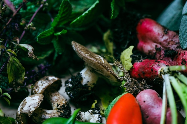 Raccolta di ortaggi e fiori nostrani dopo il raccolto dal giardino di casa