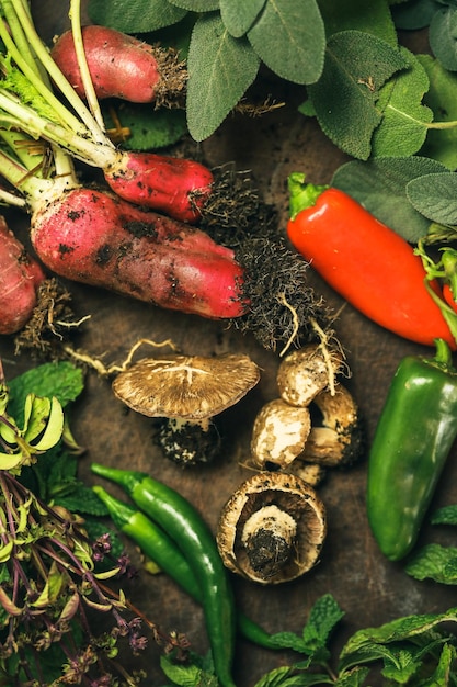 Raccolta di ortaggi e fiori nostrani dopo il raccolto dal giardino di casa