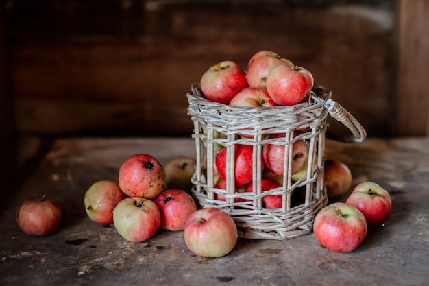 Raccolta fresca delle mele mature e sane dell'azienda agricola in un barattolo di vetro, in un canestro.