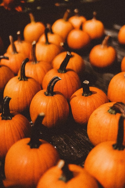 raccolto agricoltura raccolto in legno luminoso Halloween