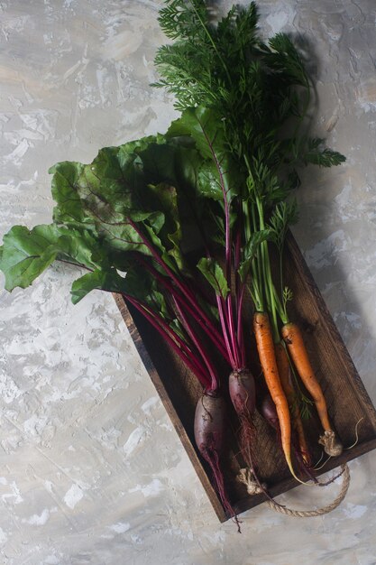 Raccolto autunnale di barbabietola e carota organiche fresche e stile di vita sano