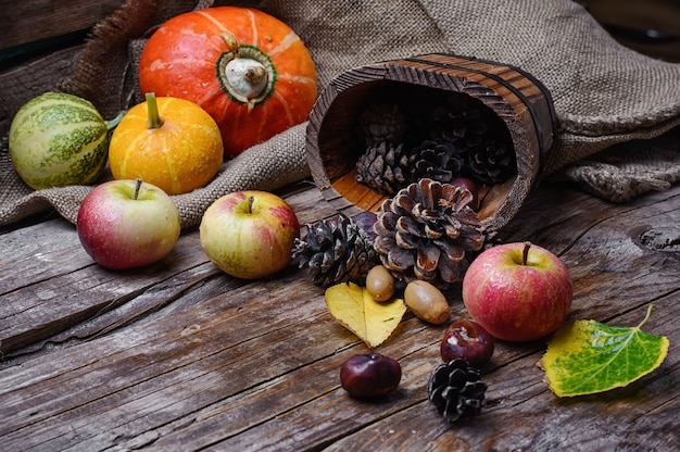 Raccolto autunnale di mele e zucche