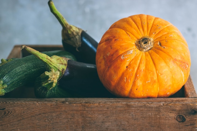 Raccolto autunnale in una scatola di legno, zucca, zucchine verdi e melanzane su uno sfondo grigio