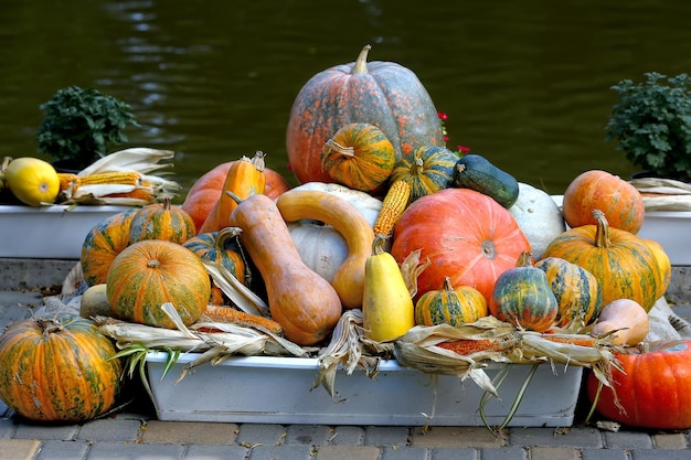 Raccolto autunnale